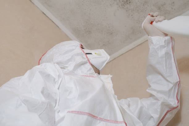 Professional Mold Remediation in Port St Lucie, FL